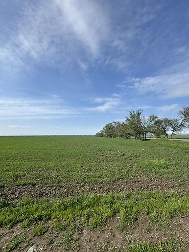 селхоз земли: 500 соток Для сельского хозяйства, Водопровод — 5