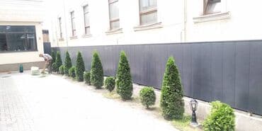 услуги медсестры капельницы уколы на дому: Уборка территории, Уход за деревьями — 4