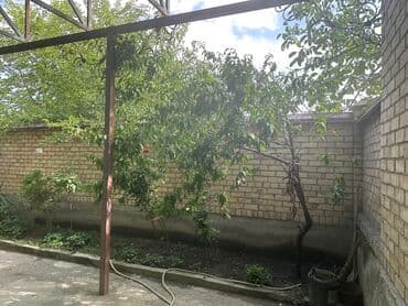 крыша жасайбыз: Продается дом из жжоного кирпича 3 комнатная и 2 времянки огород сад — 6