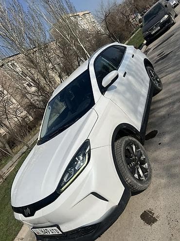 Weltmeister: Weltmeister EX5, 2020 г. — 2