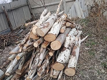 Садовая техника и оборудование: Дрова Тополь — 1
