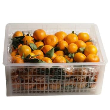 Сейфтер: Мандариндер Дүңүнөн, Акылуу жеткирүү — 1