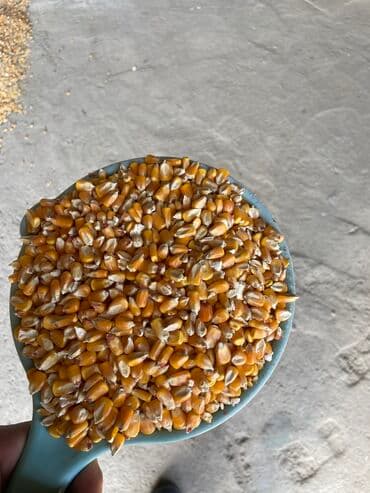 продам домик для кошки: ОПТОМ ЖУГОРУ
ном — 2