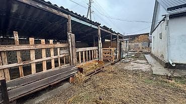 кен сай пост: 5 соток, Для строительства, Красная книга — 9