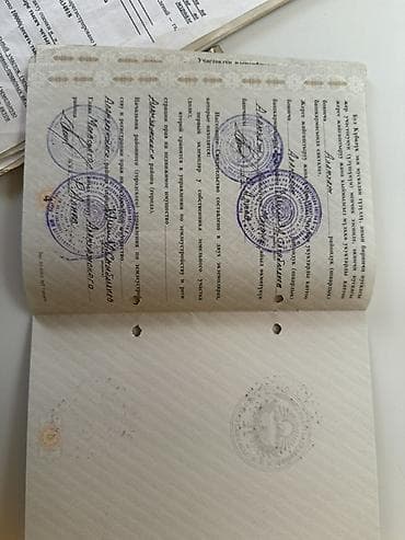 1000 соток — 7