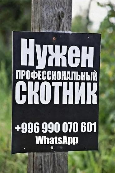 учитель в частной школе зарплата: Требуется Скотник, Оплата: Ежемесячно, Питание — 1