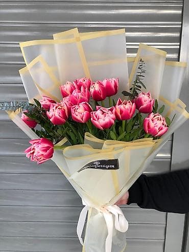 луковица тюльпаны: Тюльпаны оптом только до 6марта ! Свежие хрустящие сортовые — 7