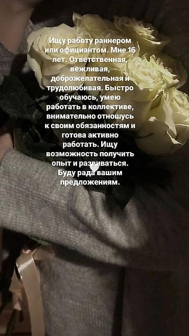 Работа: Ищу работу в Бишкеке — 1