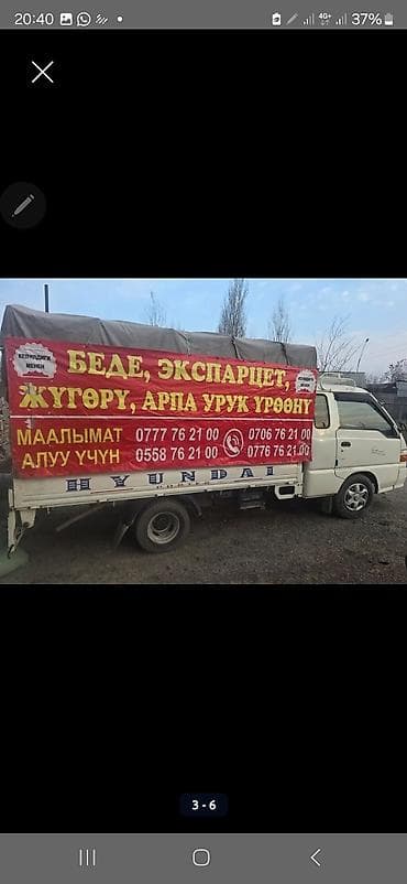 косим кукурузу: Семена люцерны!!! 
Сорт: Багира 
Есть гарантии на семена — 6