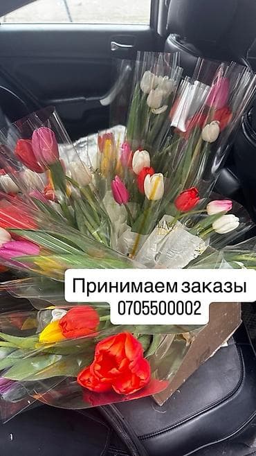 Цветы и букеты: Тюльпаны в индивидуальной упаковке - Разноцветные свежесрезанные — 2