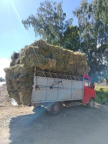 каракол мото: Грузовик, Mercedes-Benz, Стандарт, 3 т, Б/у — 4