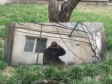 Продаю задная стекло ваз 2103 Прошу 1000 сом at lalafo.kg Продаю задная стекло ваз 2103 Прошу 1000 сом