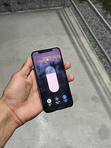 apple iphone 12 mini: IPhone 12 Pro, Серебристый — 4
