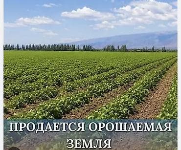продаю ферма: 10000 соток, Для сельского хозяйства — 1