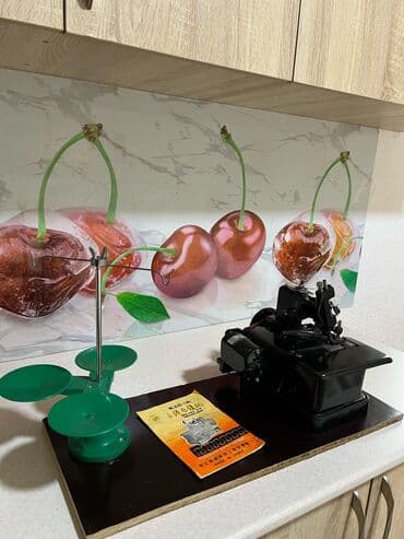 швейные машины jack в бишкеке цена: Швейная машина Chayka, Оверлок, Полуавтомат — 2