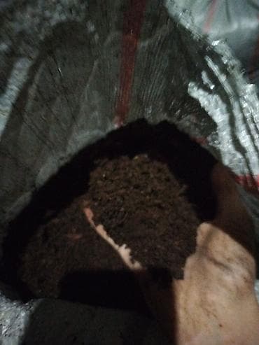 шабыркуль в мешках: Перегной в мешках пяти летней выдержки чистый просеянный — 2