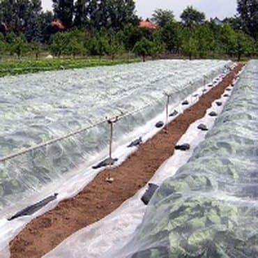 купить пленку для мульчирования: Агроволокно (спанбонд, агроволокно, застилочный материал,геотекстиль)- — 4