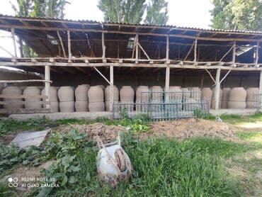 гостевой дом на иссык куле: Тандыры Бесплатная консультация Больше 6 лет опыта — 11