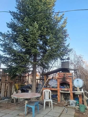 чолпон ата продажа дома: Продается двухэтажный дом (коробка с остеклением) из блоков с — 9