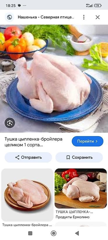 механические настенные часы: Тушка цыплёнка-бройлера целиком - Целая потрошёная тушка без пера и — 4