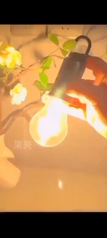 мускатный орех купить бишкек: ​✨ Почему эта лампа станет вашей лучшей покупкой: ​⚡️ Удобная Зарядка — 3