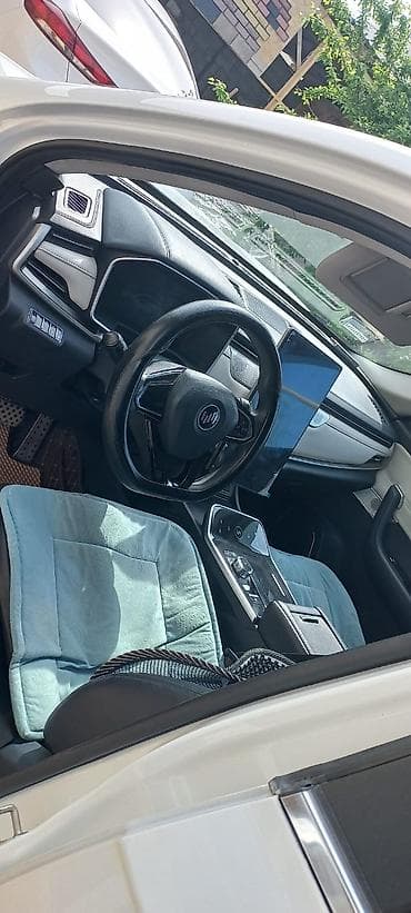 sonlink 200: Weltmeister EX5, 2021 г., 110000 км, Передний — 3