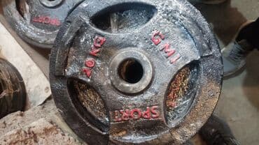 тренажер универсальный для дома: Блины железные для штанги 
Все виды — 6