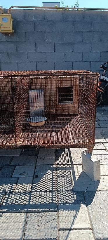 купить белку: Продаю отличные клетки для кролиководов. одна на четыри самки с — 2