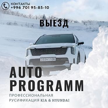 авто химии: Регулировка, адаптация систем автомобиля, Изготовление систем автомобиля, Услуги автоэлектрика, без выезда — 1