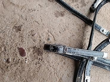 Конская уздечка/налобник с мундштуком - Материал: чёрные кожаные