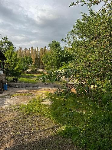 8 соток, Бизнес үчүн, Кызыл китеп, Техпаспорт, Сатып алуу-сатуу келишими — 1