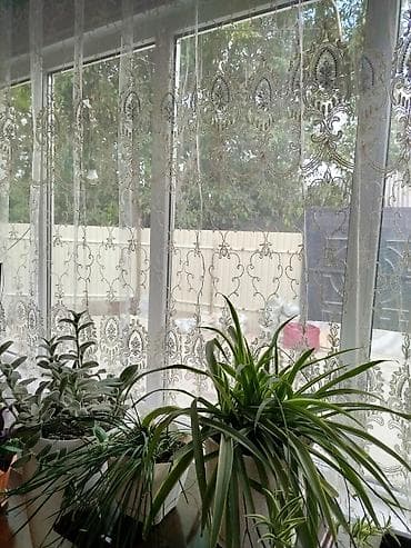 Продам дом, Участок 1,5. Отопление газ, электричество трехфазка, Двор — 4