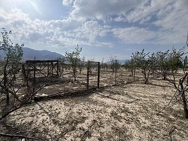 квари: 5 соток, Для строительства, Красная книга — 6