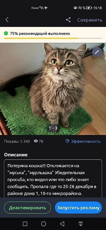 Потерялась кошка. Описание: - Домашняя пушистая кошка