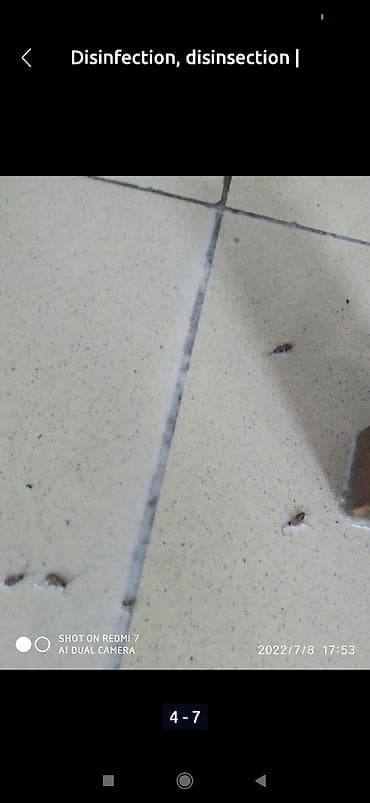 gta 5: Дезинфекция дезинфекция дезинфекция дезинфекция дезинфекция Таракан — 3