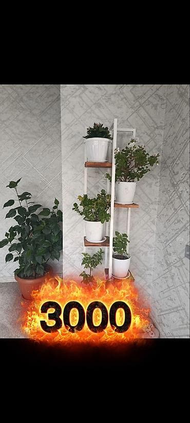 домпой: Другие удобства для дома и сада — 5