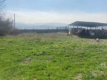 склад ош: 15 соток, Для строительства, Красная книга — 7