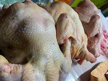 продаю гусь: Бройлерные куры чищеные готовые сочные вкусные Вес 2 кг до 3кг Цена — 1