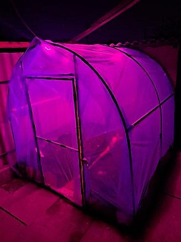 большие бассейны: Теплица. 2×2 метра. Состояние отличное — 3