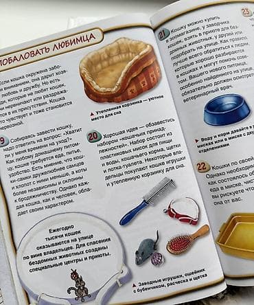 катя петя: Две книги за 500 
Детские книги — 6