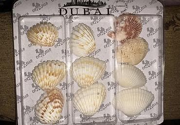 услуги конструктора одежды: Очки нулевки распродажа дешево 300 сом/ед Броши Серебро серьги - — 7