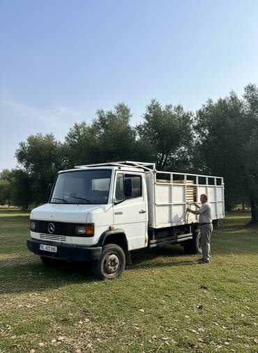 машина кузов: Грузовик, Mercedes-Benz, Стандарт — 3