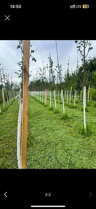 косилка для мотоблок: Уборка территории, Стрижка газона — 2