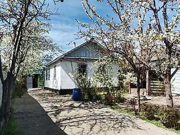 Кыймылсыз мүлк: - Отдельно стоящий одноэтажный дом с двускатной кровлей. - Территория — 1