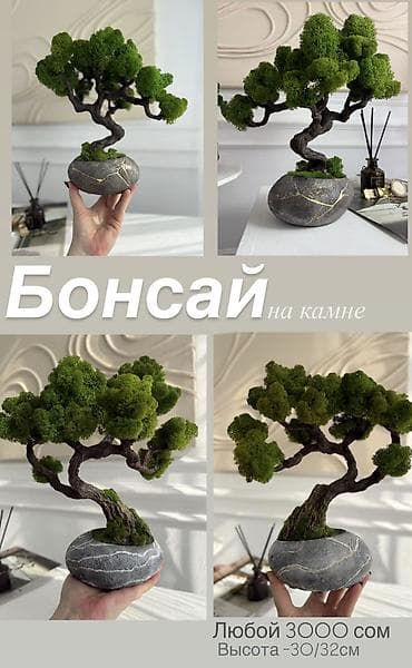 тошок жуу: Мини-дерево Бонсай из натурального стабилизированного мха 🌿 — 10