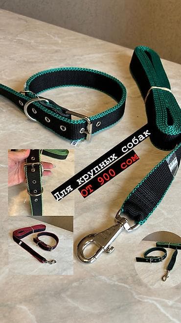 вислоухие: Комплект ошейник+поводок для крупных собак. Амуниция из нейлона — 1