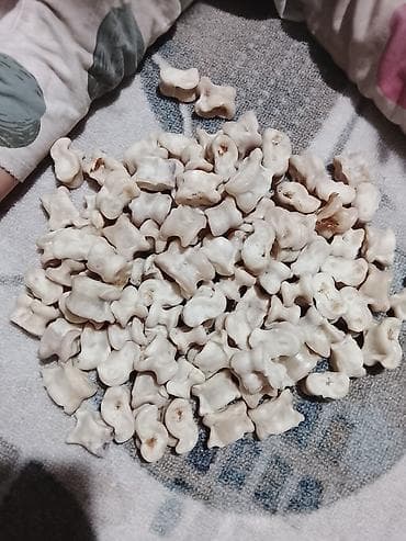 рыба семга: Чуко домпой . 1000. штук бар таза — 6