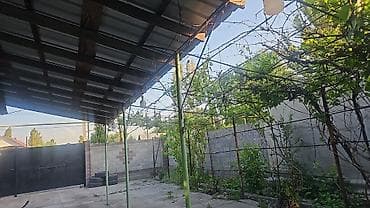 Кыймылсыз мүлк: Продаётся жилой дом с отдельным двором и капитальным забором — 4
