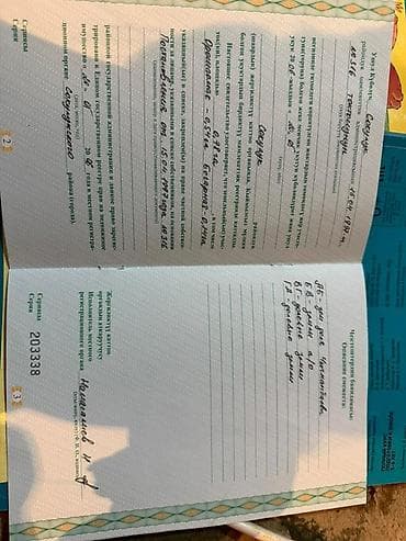 участок под кошару: 78 соток, Для сельского хозяйства, Генеральная доверенность — 3