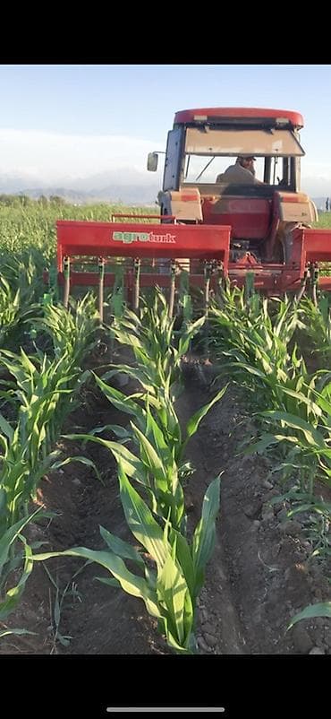 кургаткыч: Продаю культиватор междурядье на 70 !Культиватор-растениепитатель — 5